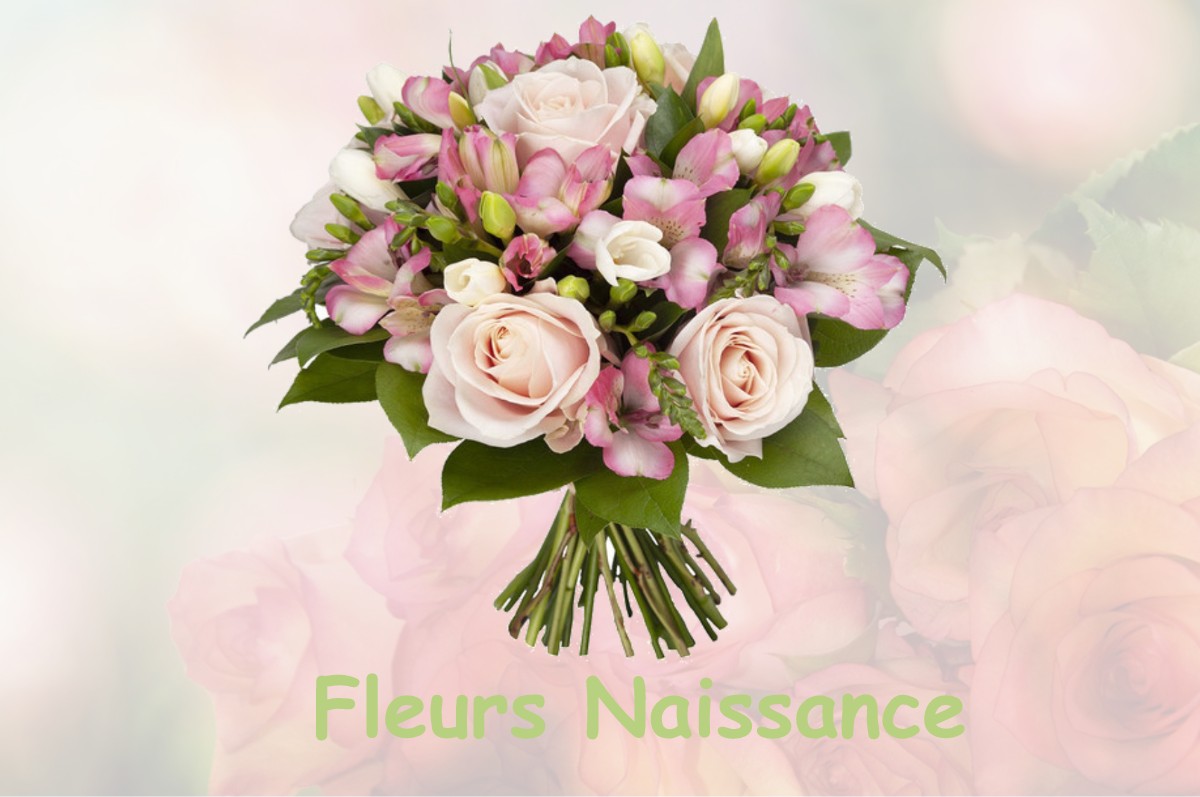 fleurs naissance SAINT-MARTIN-DE-GURSON